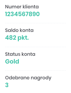 Zrzut ekranu prezentujący aktualny status klienta