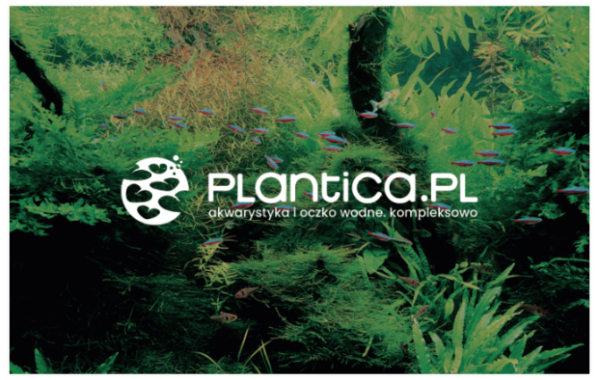 karta lojalnosciowa przyklad5 plantica